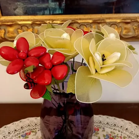 Le Ginestre * Sulmona